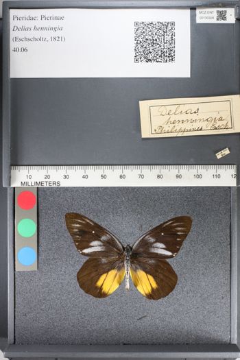 Media type: image;   Entomology 130328